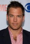 Michael Weatherly photo